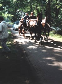Renovierung Grillplatz Abeln 1999