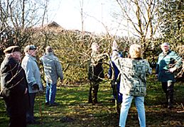 Dorfgemeinschaft Obstbaumschnitt 2002